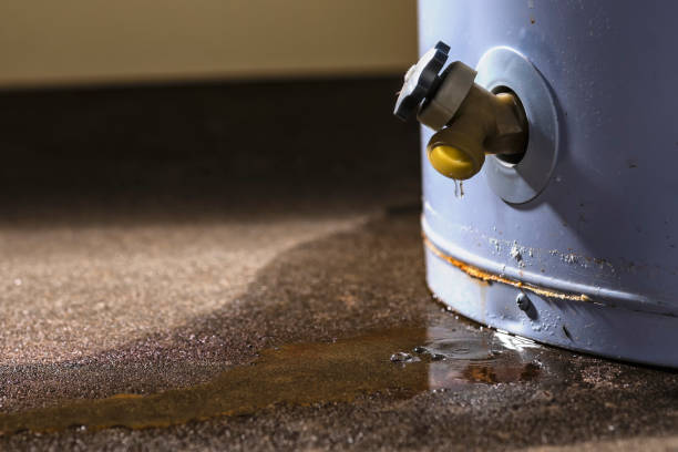 Best Local water damage restoration  in Minneota, MN