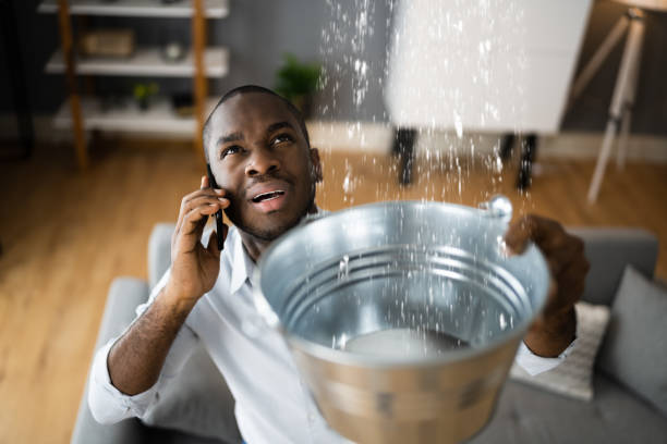 Best Emergency water damage restoration  in Minneota, MN