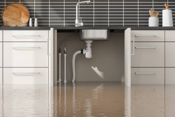 Reliable MN Water damage restoration Solutions