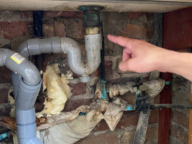 Best Basement water damage restoration  in Minneota, MN