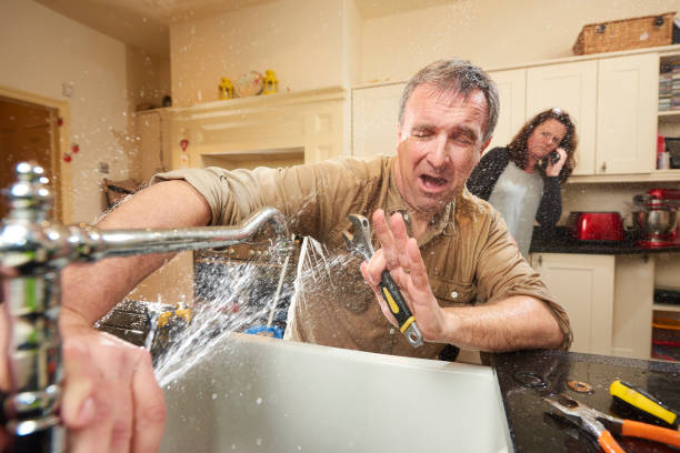 Best Flooded house restoration  in Minneota, MN